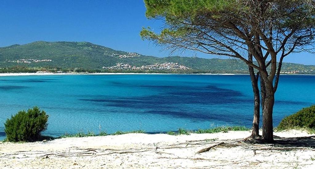 Residence Sa Raiga Budoni Bagian luar foto